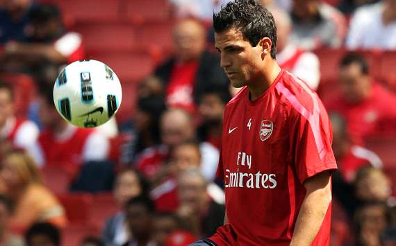 Cesc Fabregas of Arsenal (Getty Images)