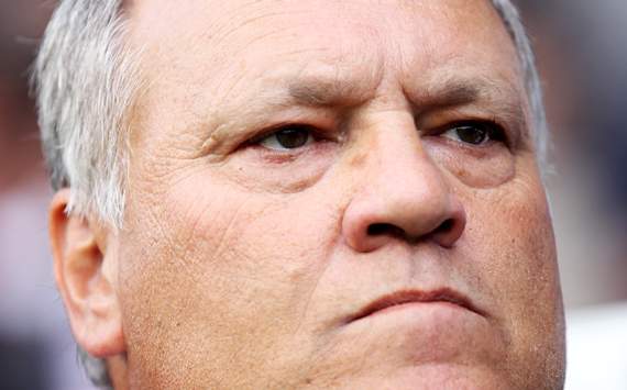 Martin Jol, Fulham