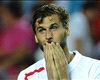 HD Fernando Llorente Sevilla