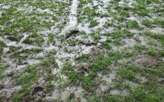 Pitch condition at JRD Tata Complex