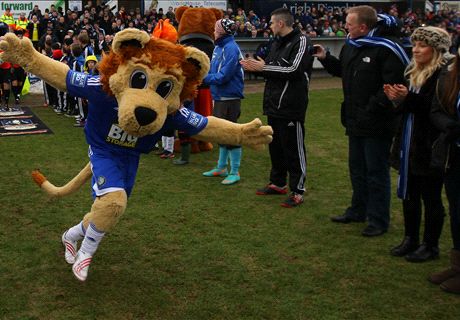 Macclesfield looking for lion tamer
