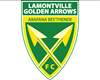 Mdunge frustrated with start at Golden Arrows