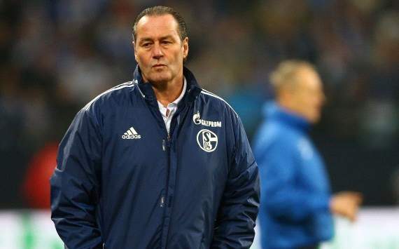 Germany: FC Schalke 04, Huub Stevens