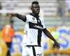 Acquah: I’ve a chance in the Ghana World Cup squad