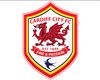 Cardiff City Pinjamkan Dave Richards