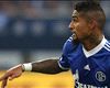 Kevin-Prince Boateng Gabung Ke Schalke Karena Dua Alasan