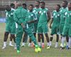 World Cup 2014: Issues facing Africa’s representatives