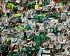 Pianeta Brasil - Festa Palmeiras, la redenzione dall'inferno è vicina: manca una vittoria per il ritorno in A