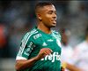 HD Gabriel Jesus, Palmeiras