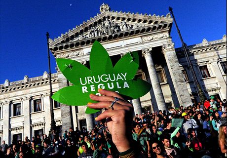 Marihuana casi libre