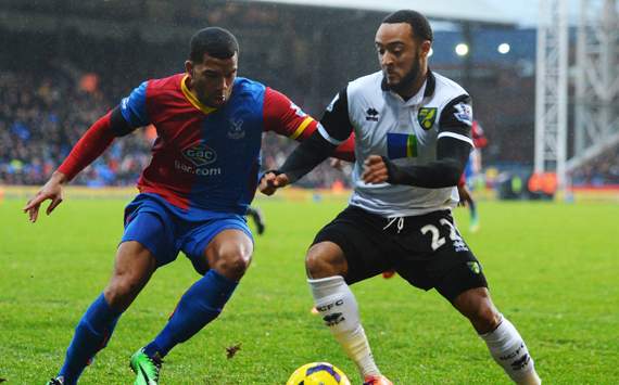 Adrian Mariappa Nathan Redmond Crystal Palace v Norwich City - Premier League 01012014