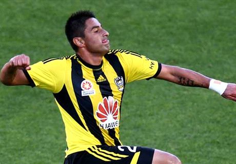 A-League 2013-14 report card: Injuries scupper Wellington Phoenix