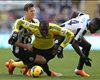 Gus Poyet supports Jozy Altidore as Sunderland striker seeks goals