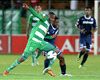 Cosmos' interest in Celtic's Mogorosi dismissed
