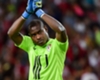 Injured Vincent Enyeama ruled out of Guingamp clash