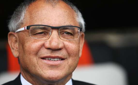 Fulham head coach Felix Magath