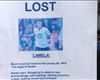 Los hinchas de Tottenham "buscan" a Erik Lamela
