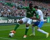 3:1 gegen Hoffenheim - Werder Bremen vor Klassenerhalt