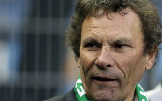 Pour Romeyer, les Verts sont