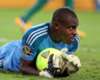 CDM 2014, Nigéria : Enyeama donne des renseignements sur la France