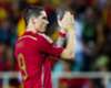 Spain striker Fernando Torres