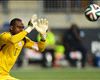 Meet the team to win Africa the 2014 World Cup