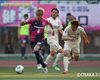 Japan striker Kakitani joins Basel