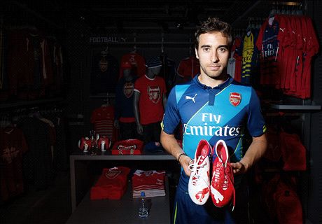 Flamini disappointed by Fabregas move