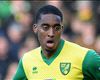 HD Leroy Fer Norwich City