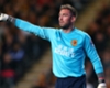 Allan McGregor Kembali Pulih