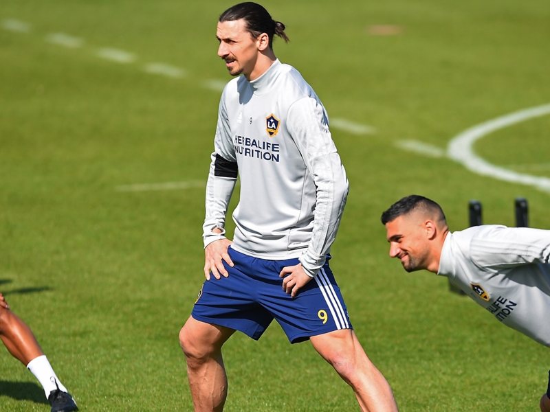 The lion is hungry - Ibrahimovic eager for MLS success