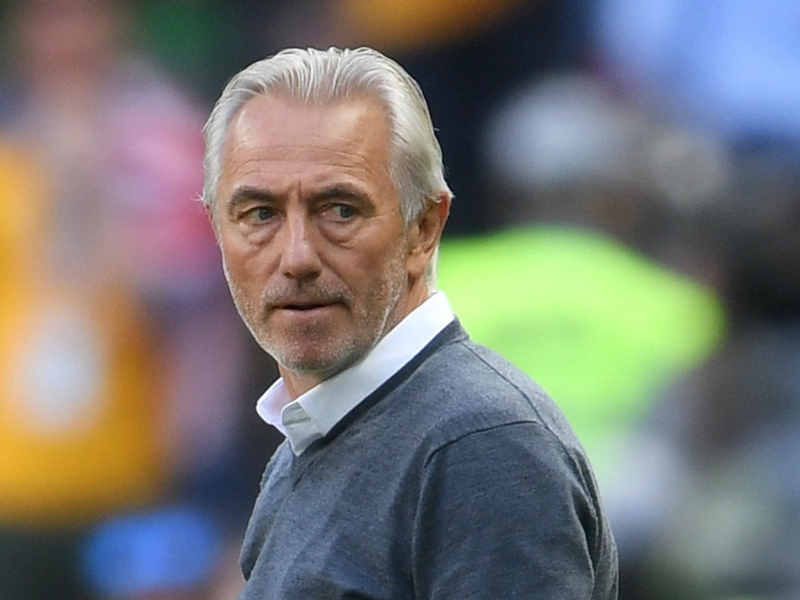Bert van Marwijk questions referee after VAR drama costs Socceroos