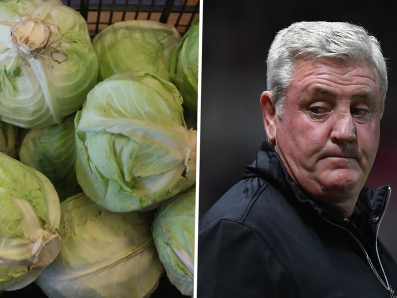 Aston Villa boss Bruce pelted with cabbage as sack looms