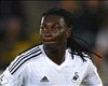 HD Bafetimbi Gomis Swansea City